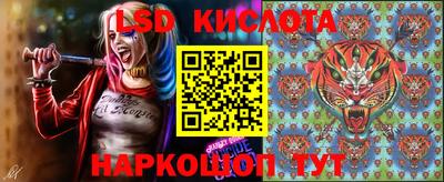 PSILOCYBIN Моздок