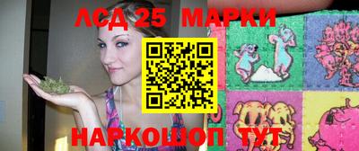 PSILOCYBIN Моздок