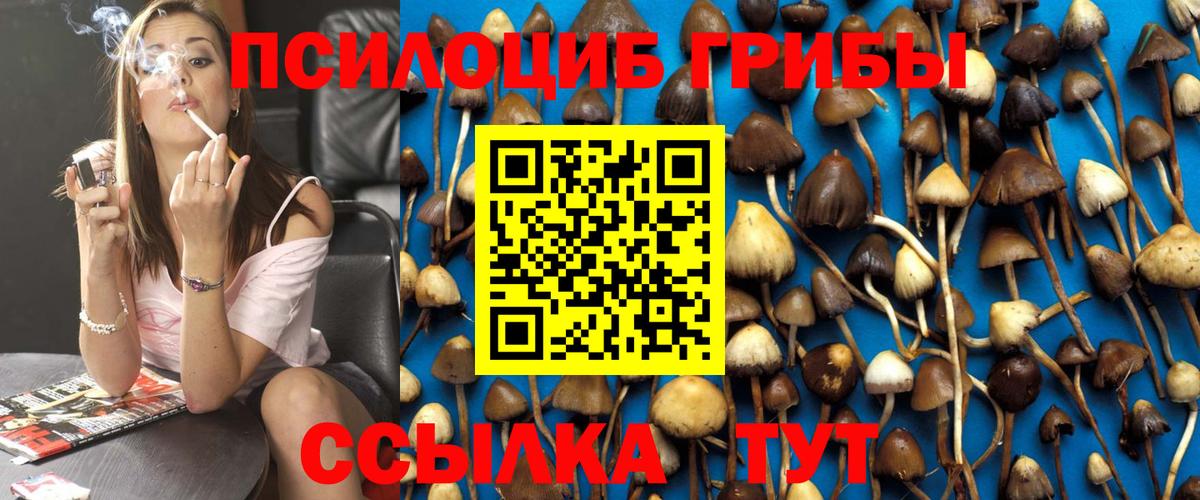 Ялуторовск  Псилоцибиновые грибы мицелий  Вход с VPN  что такое   Галлюциногенные грибы ЛСД 