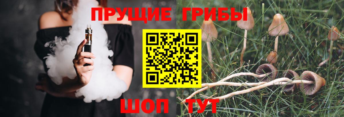 Галлюциногенные грибы мухоморы Ялуторовск