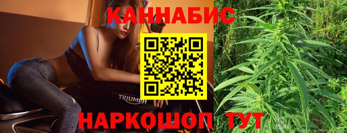 Бошки Шишки гибрид Ялуторовск